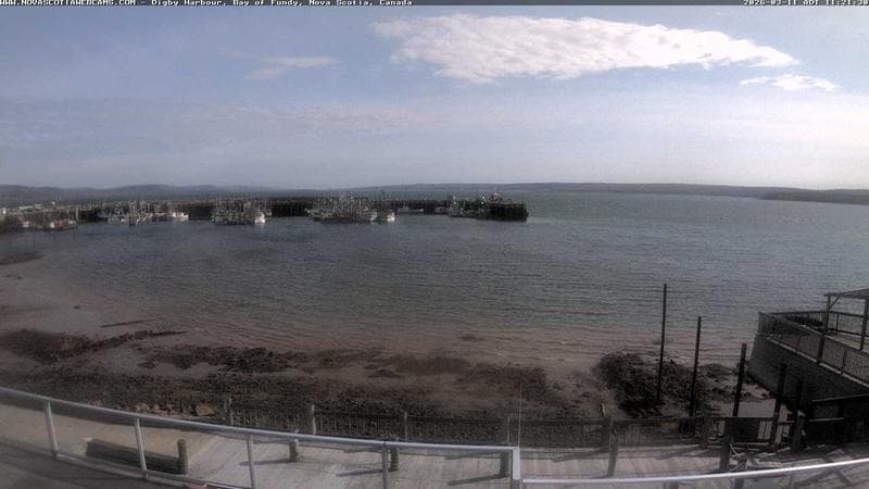 Digby Harbour