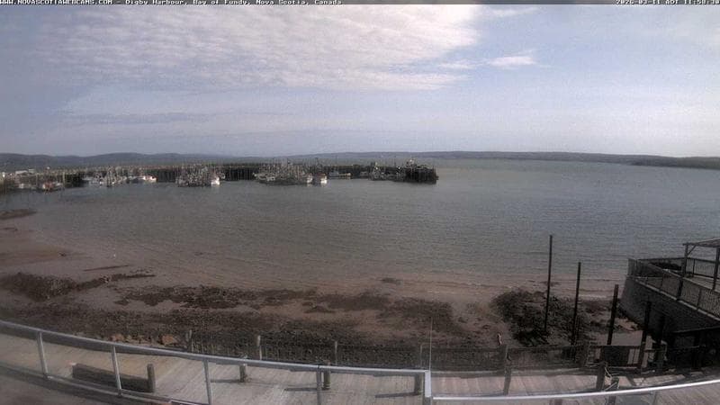 Digby Harbour