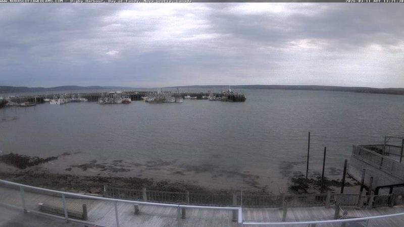 Digby Harbour