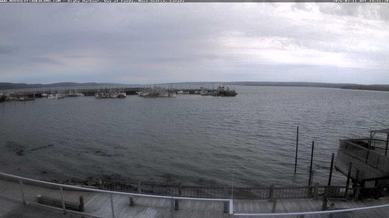 Digby Harbour