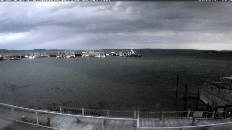 Digby Harbour