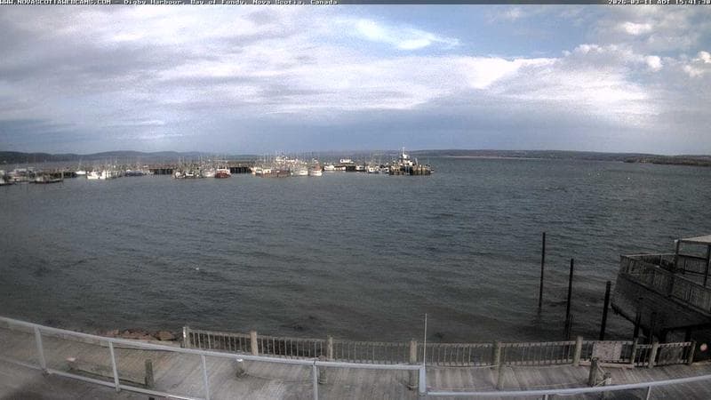 Digby Harbour