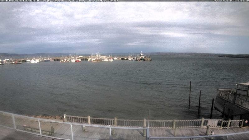 Digby Harbour