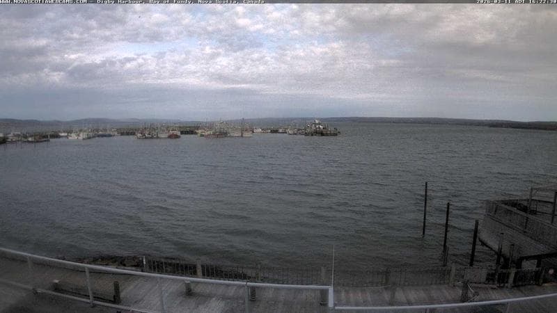 Digby Harbour