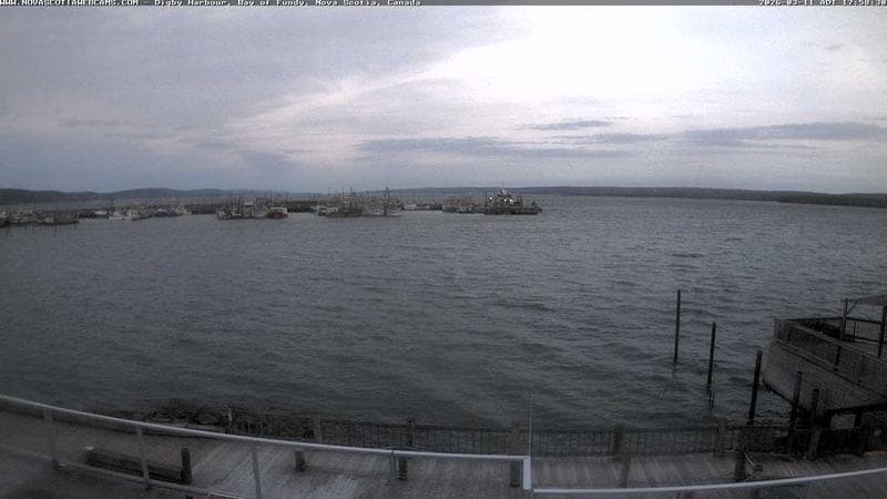 Digby Harbour