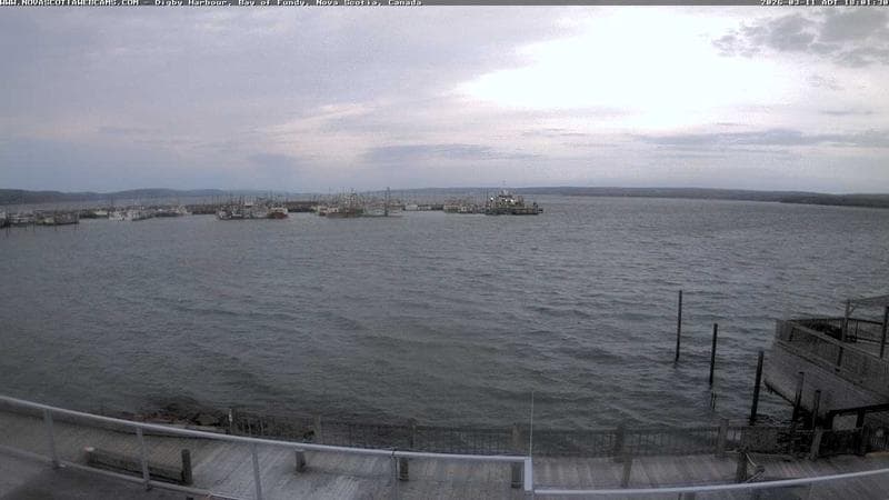 Digby Harbour