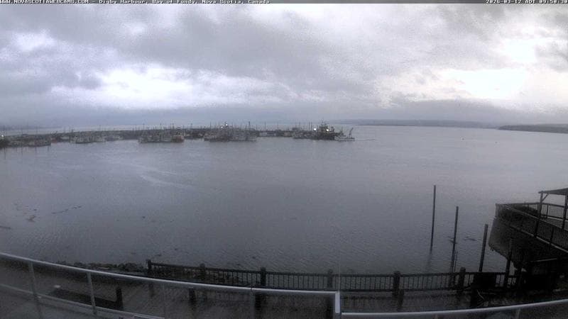 Digby Harbour