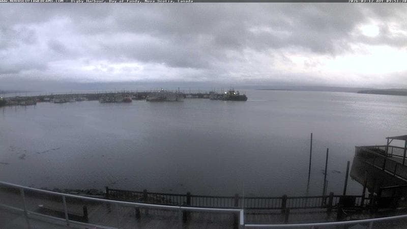 Digby Harbour