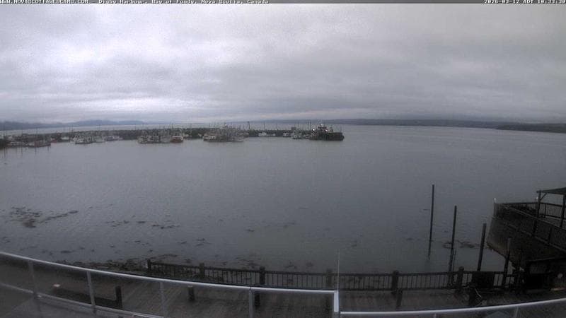 Digby Harbour