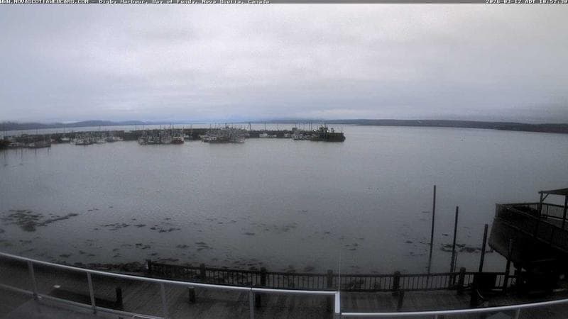 Digby Harbour