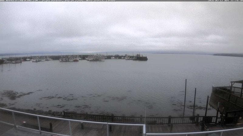 Digby Harbour
