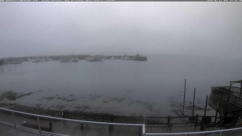 Digby Harbour