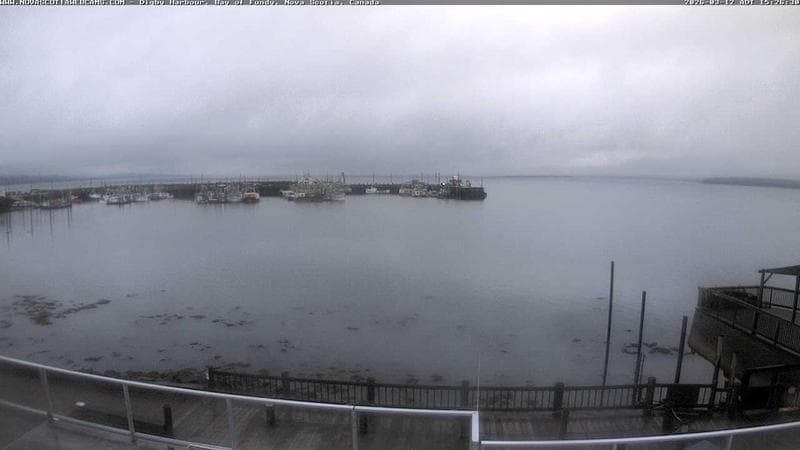 Digby Harbour