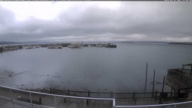 Digby Harbour
