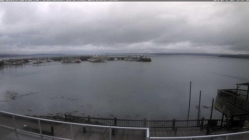Digby Harbour