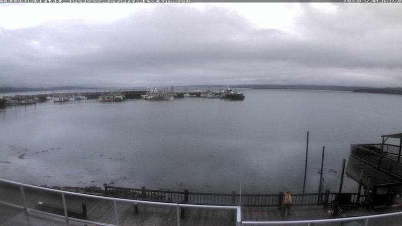 Digby Harbour