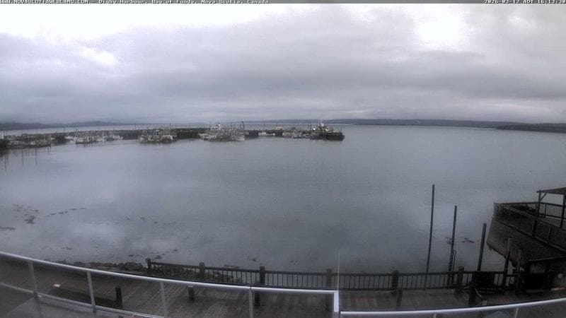Digby Harbour