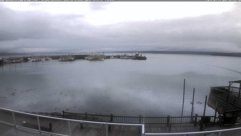 Digby Harbour