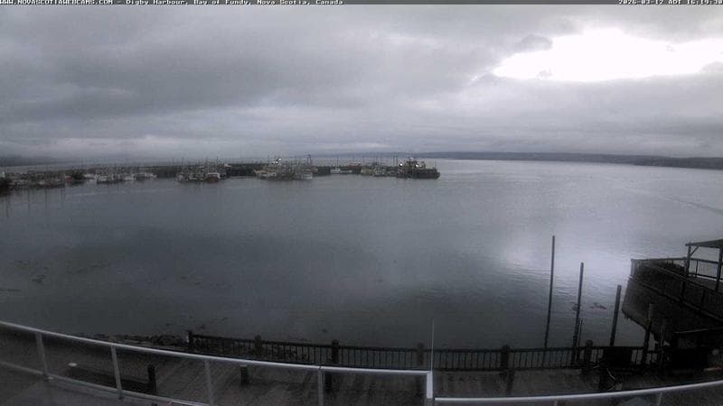 Digby Harbour