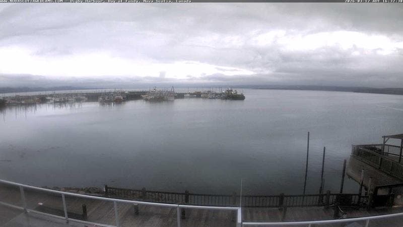 Digby Harbour