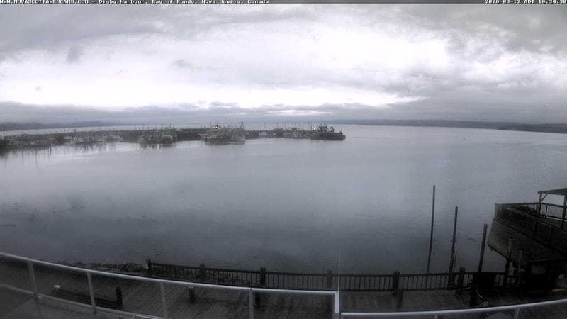 Digby Harbour