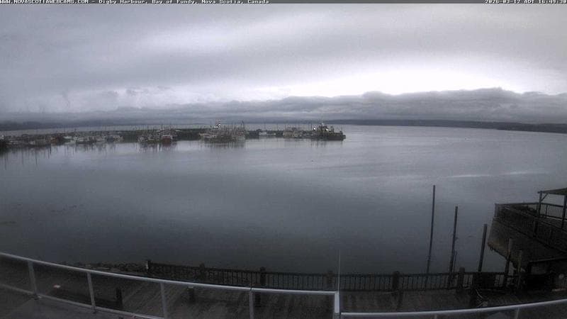 Digby Harbour