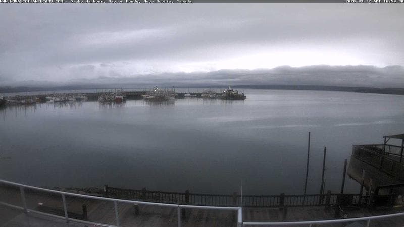 Digby Harbour
