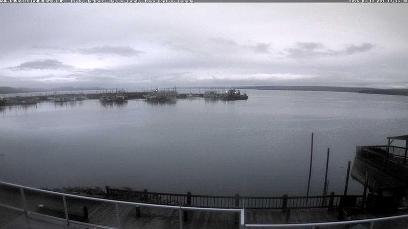 Digby Harbour