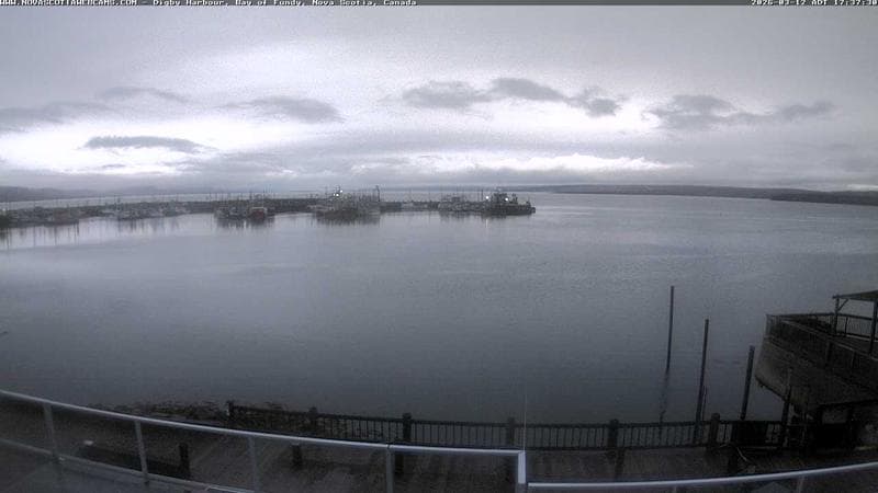 Digby Harbour