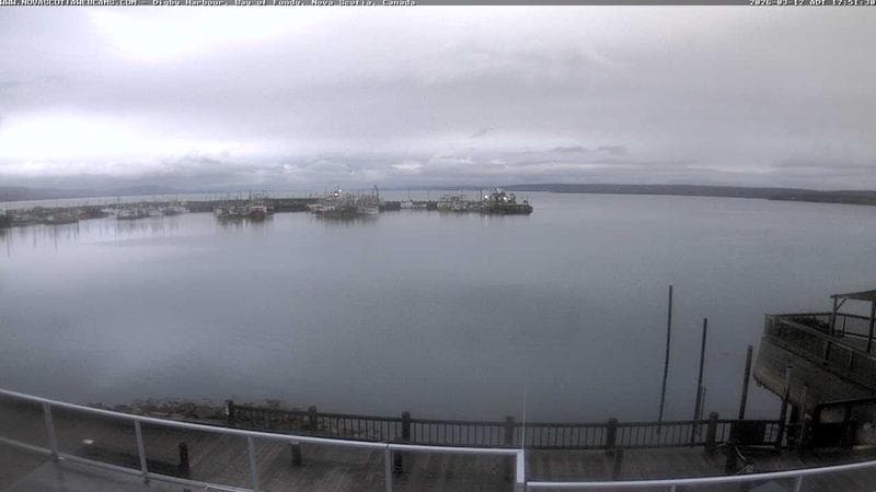 Digby Harbour
