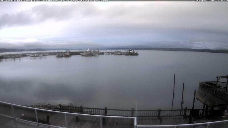 Digby Harbour