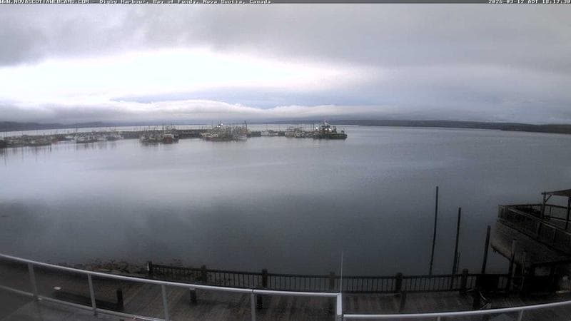 Digby Harbour