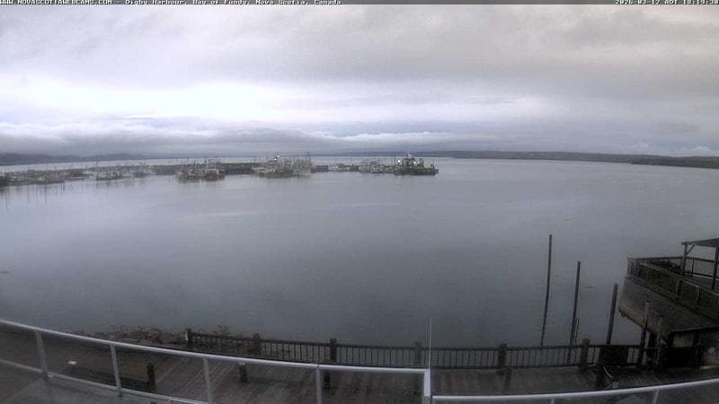 Digby Harbour