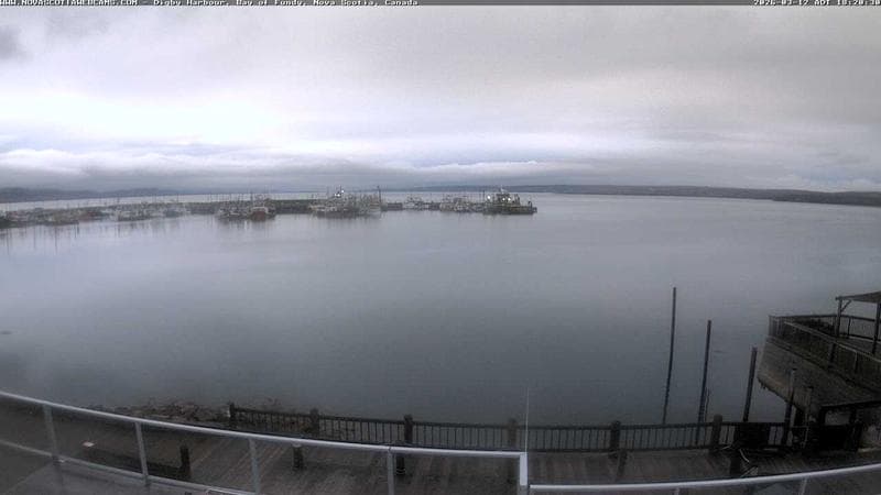 Digby Harbour