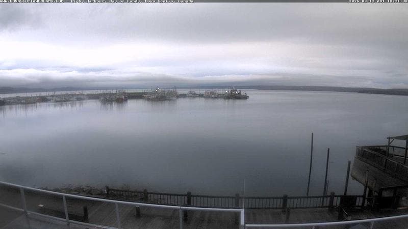 Digby Harbour
