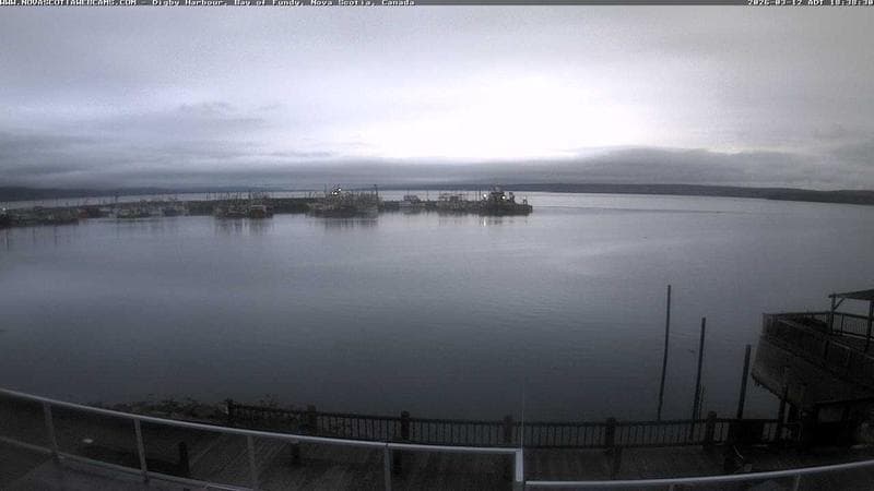 Digby Harbour