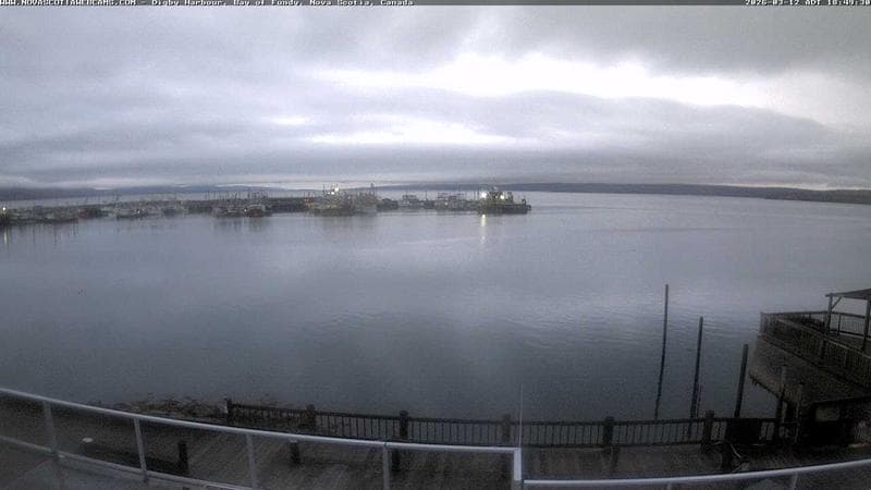 Digby Harbour