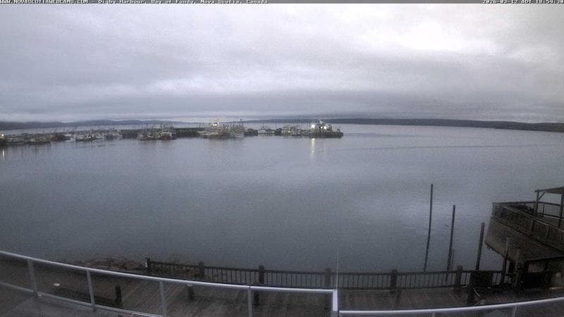 Digby Harbour