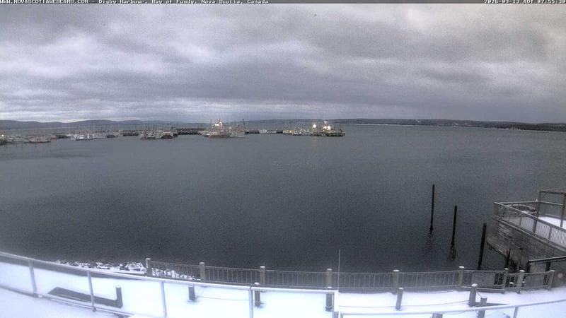Digby Harbour