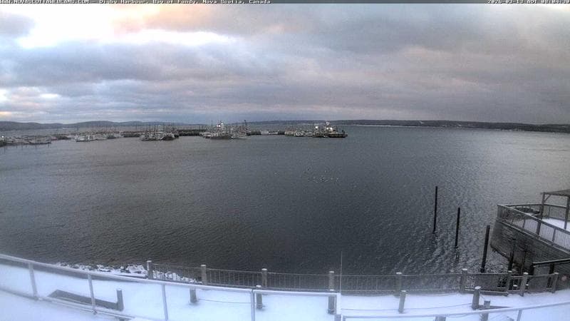 Digby Harbour