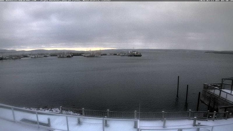 Digby Harbour