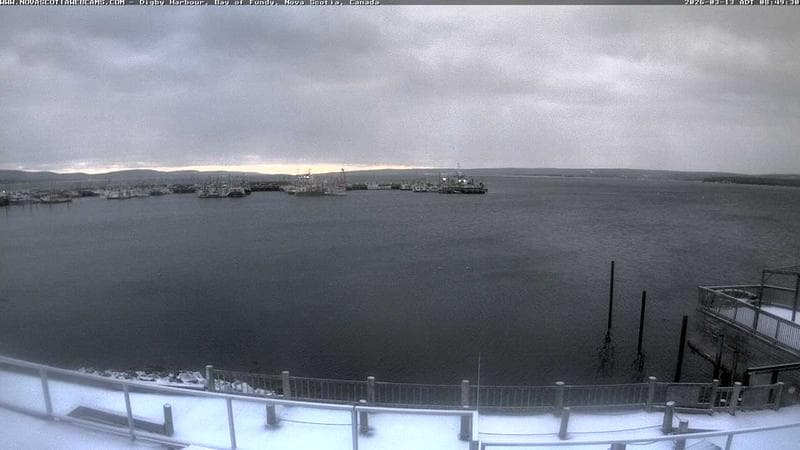Digby Harbour