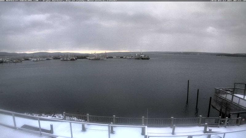 Digby Harbour