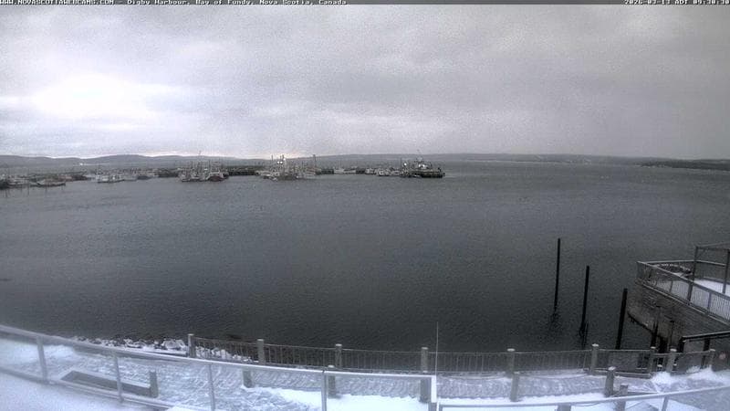 Digby Harbour