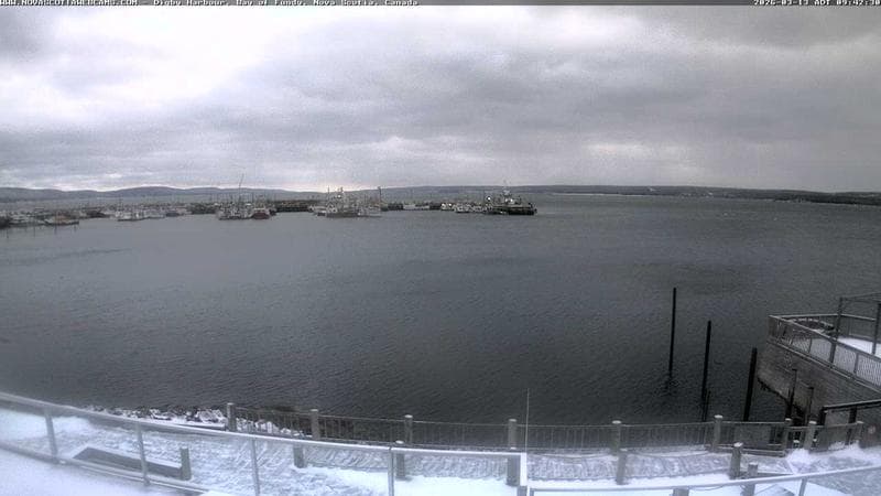 Digby Harbour
