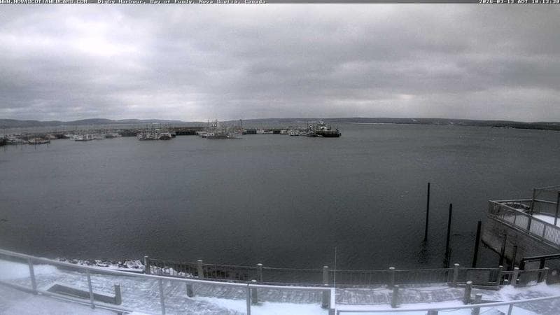Digby Harbour