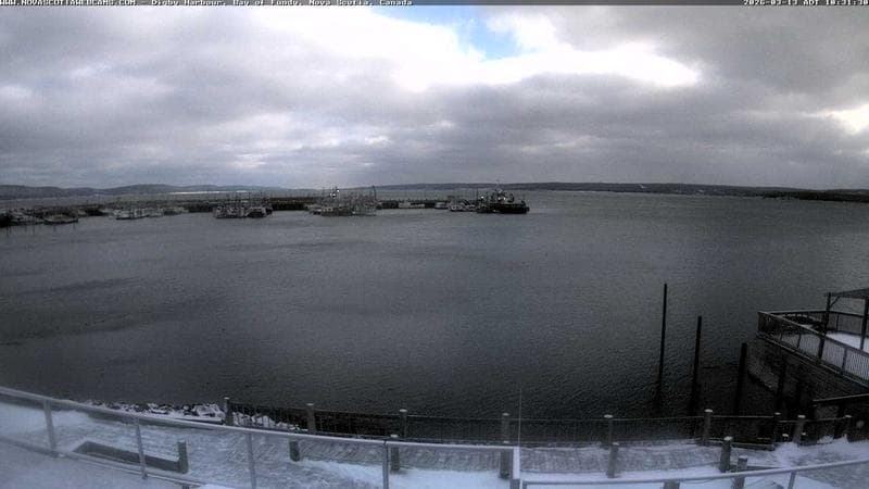 Digby Harbour