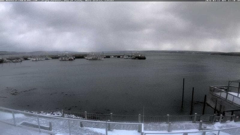 Digby Harbour