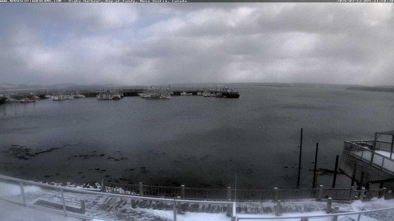 Digby Harbour