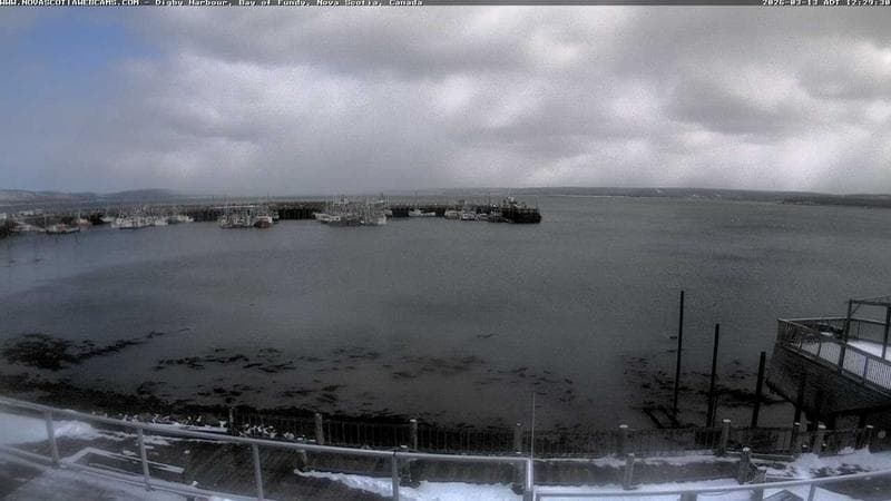 Digby Harbour